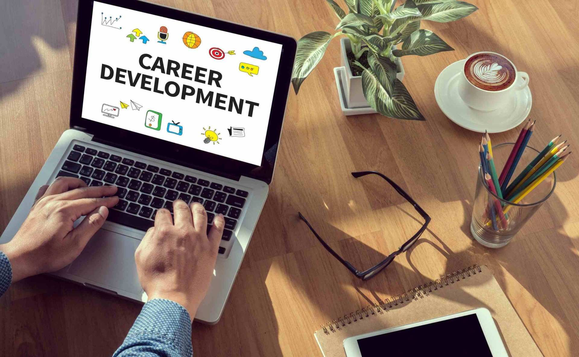 Unleash Your Potential: Career Development in New Zealand